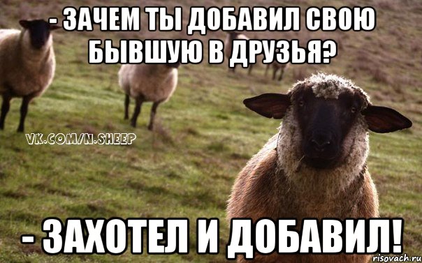 - Зачем ты добавил свою бывшую в друзья? - Захотел и добавил!, Мем  Наивная Овца