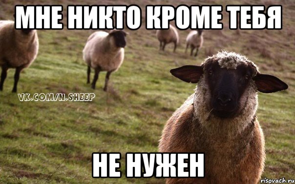 мне никто кроме тебя не нужен