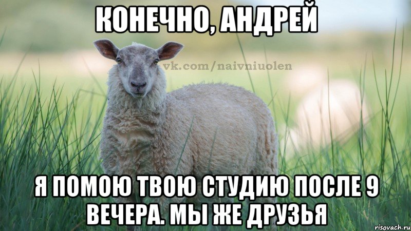 Конечно, Андрей я помою твою студию после 9 вечера. Мы же друзья