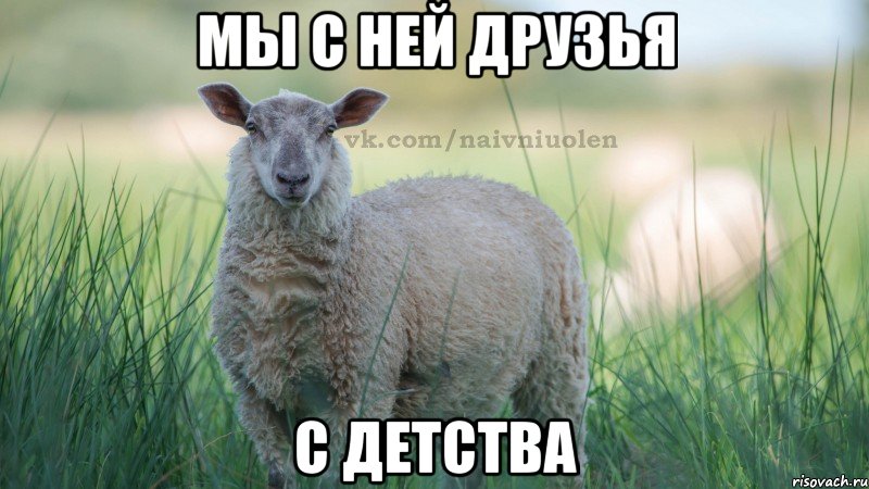 мы с ней друзья с детства