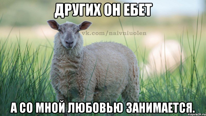 Других он ебет а со мной любовью занимается.