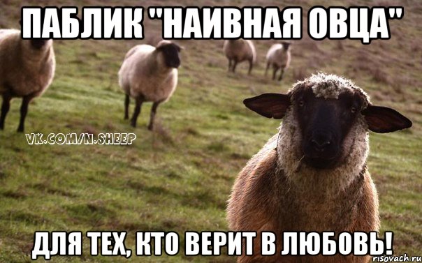 паблик "Наивная овца" для тех, кто верит в любовь!