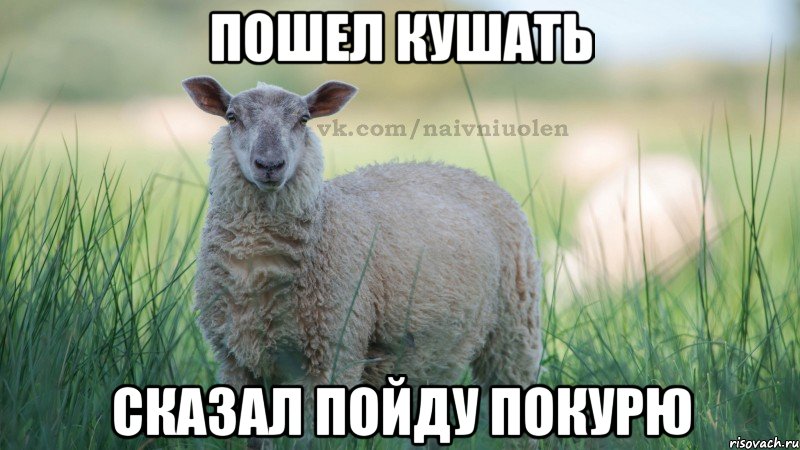 Пошел кушать Сказал пойду покурю