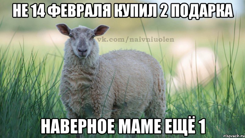 не 14 февраля купил 2 подарка наверное маме ещё 1
