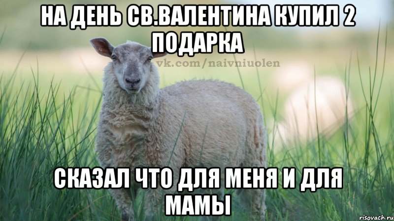 на день св.валентина купил 2 подарка сказал что для меня и для мамы