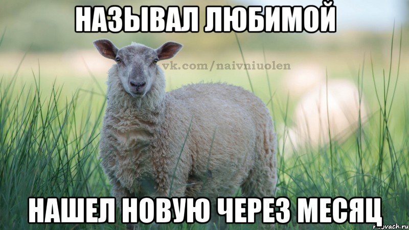 называл любимой нашел новую через месяц