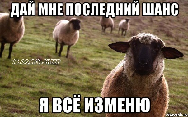 дай мне последний шанс я всё изменю