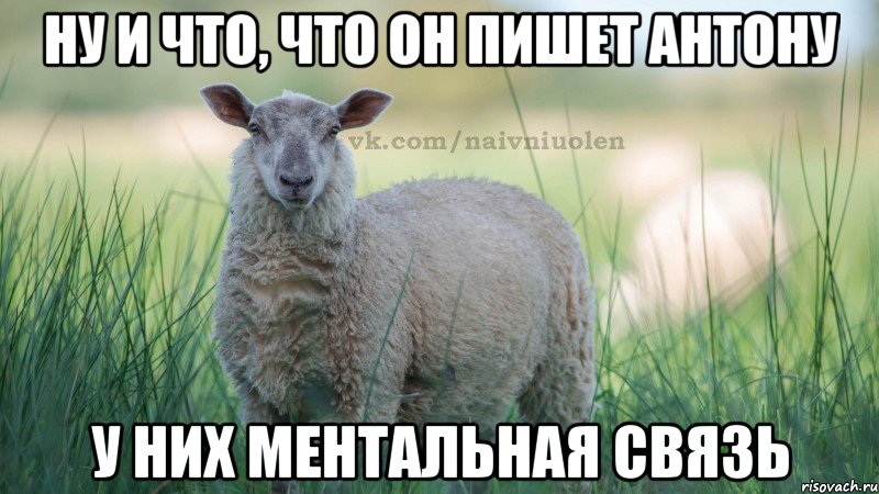 ну и что, что он пишет Антону у них ментальная связь
