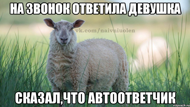 на звонок ответила девушка сказал,что автоответчик