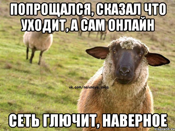 ПОПРОЩАЛСЯ, СКАЗАЛ ЧТО УХОДИТ, А САМ ОНЛАЙН СЕТЬ ГЛЮЧИТ, НАВЕРНОЕ, Мем  Наивная Овца