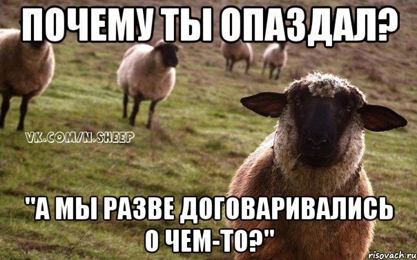 почему ты опаздал? "а мы разве договаривались о чем-то?", Мем  Наивная Овца