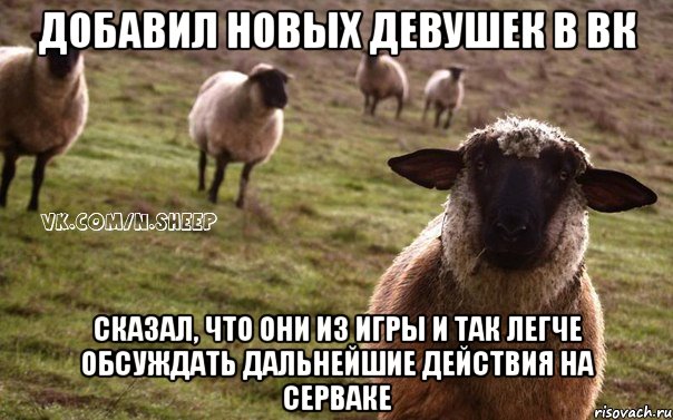 Добавил новых девушек в вк Сказал, что они из игры и так легче обсуждать дальнейшие действия на серваке, Мем  Наивная Овца