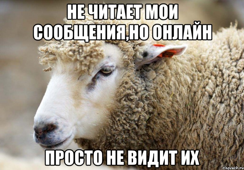 Не читает мои сообщения,но онлайн просто не видит их