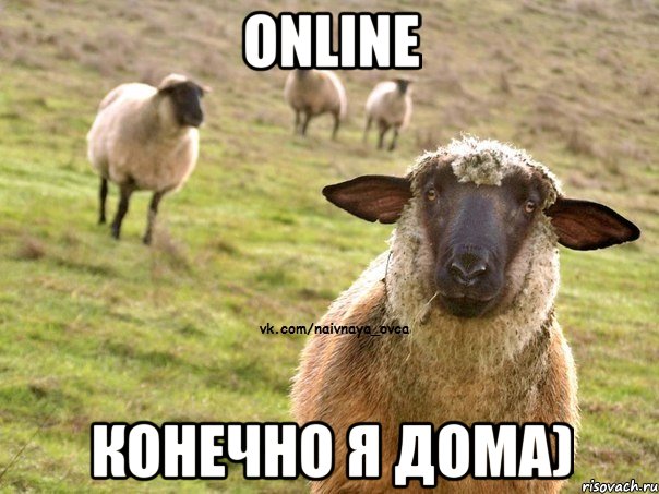 Online Конечно я дома), Мем  Наивная Овца