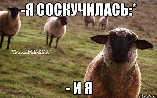 -Я соскучилась:* - И я, Мем  Наивная Овца