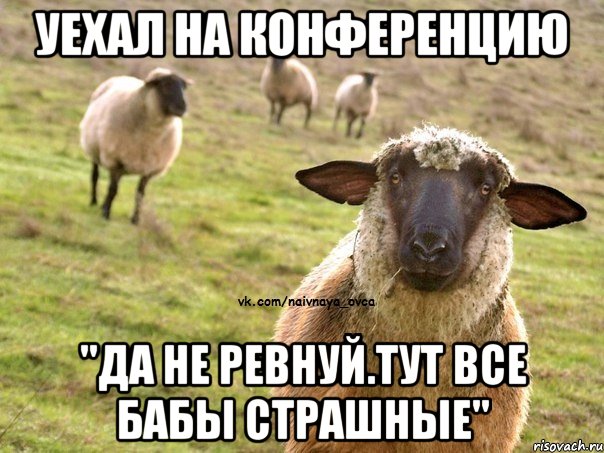 уехал на конференцию "да не ревнуй.тут все бабы страшные", Мем  Наивная Овца