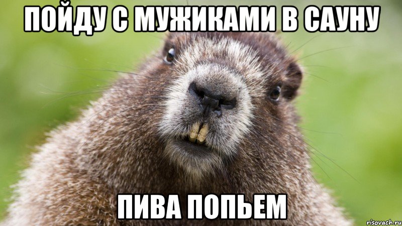 ПОЙДУ С МУЖИКАМИ В САУНУ ПИВА ПОПЬЕМ