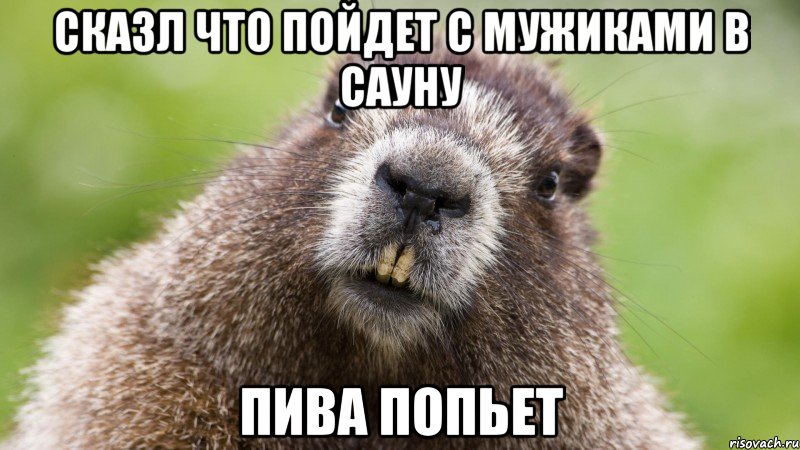СКАЗЛ ЧТО ПОЙДЕТ С МУЖИКАМИ В САУНУ ПИВА ПОПЬЕТ