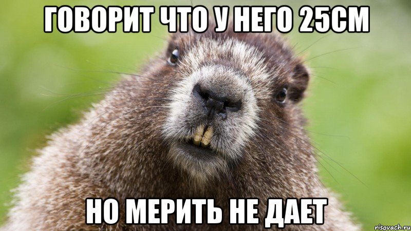 говорит что у него 25см но мерить не дает