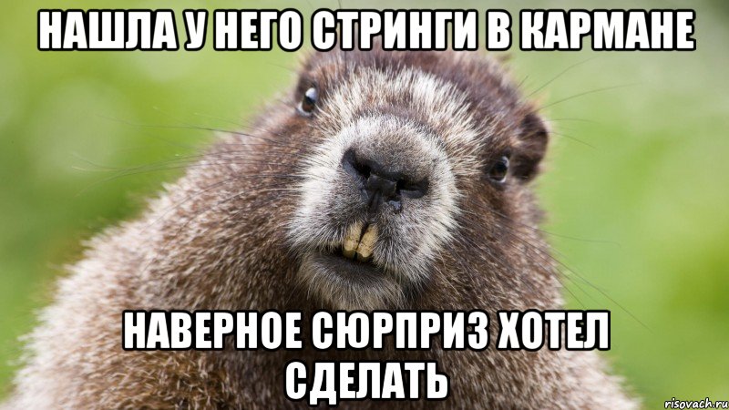 нашла у него стринги в кармане наверное сюрприз хотел сделать