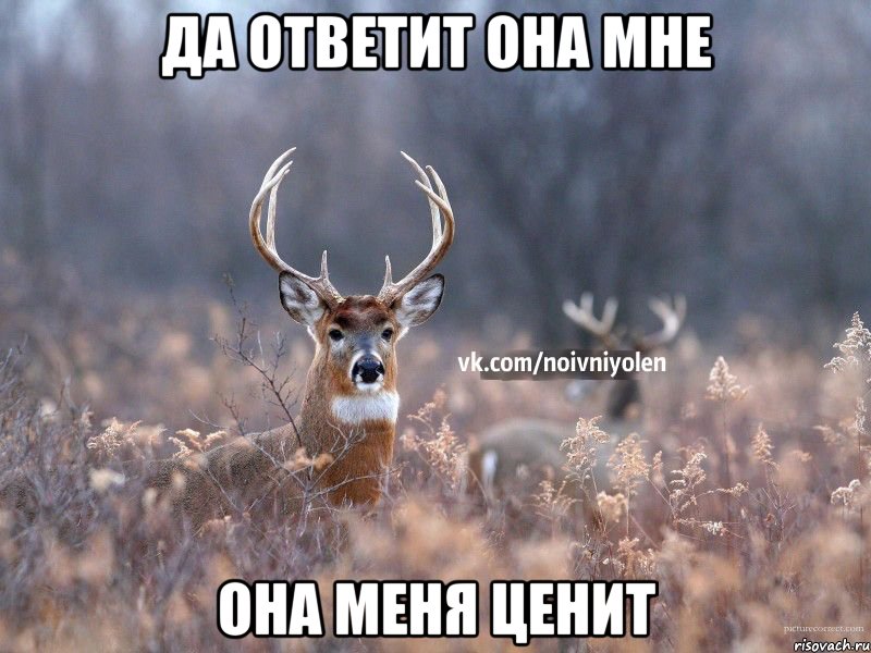 да ответит она мне она меня ценит