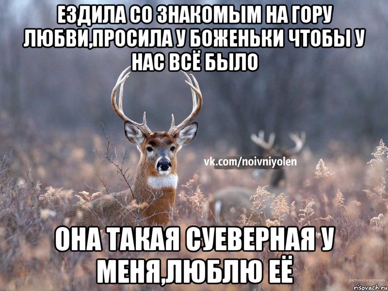 Ездила со знакомым на гору любви,просила у боженьки чтобы у нас всё было Она такая суеверная у меня,люблю её, Мем Наивный Олень vk