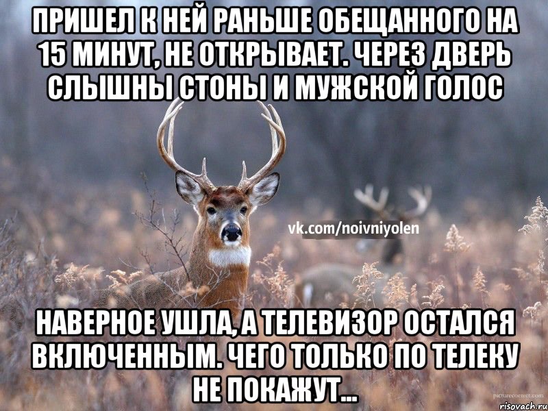 пришел к ней раньше обещанного на 15 минут, не открывает. через дверь слышны стоны и мужской голос наверное ушла, а телевизор остался включенным. чего только по телеку не покажут..., Мем Наивный Олень vk