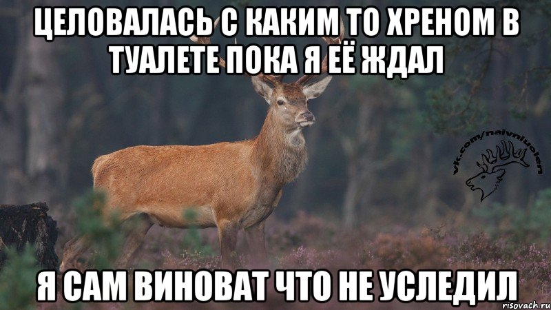 Целовалась с каким то хреном в туалете пока я её ждал я сам виноват что не уследил, Мем Наивный олень v3