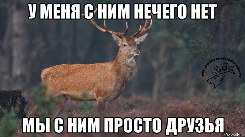 У меня с ним нечего нет Мы с ним просто друзья, Мем Наивный олень v3