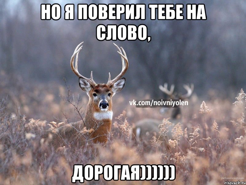 но я поверил тебе на слово, дорогая))))))