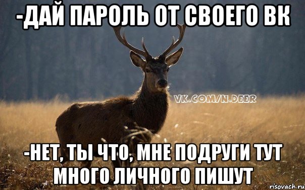 -Дай пароль от своего вк -Нет, ты что, мне подруги тут много личного пишут, Мем Наивный Олень vk2