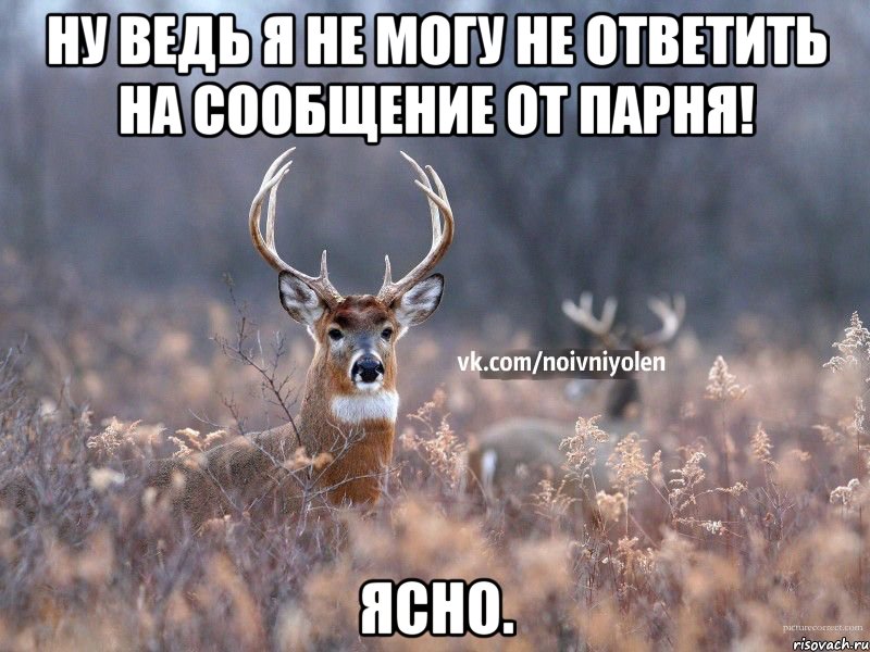 Ну ведь я не могу не ответить на сообщение от парня! Ясно.