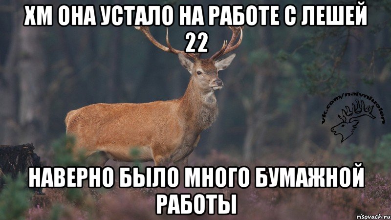 хм она устало на работе с Лешей 22 Наверно было много бумажной работы, Мем Наивный олень v3