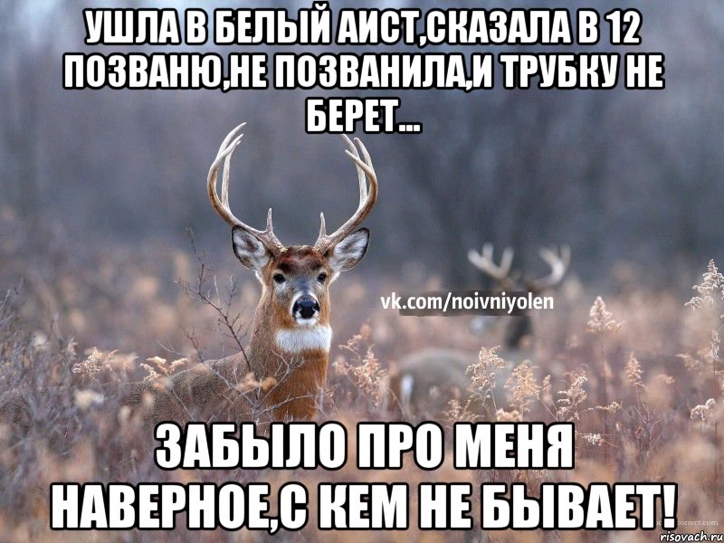 Ушла в Белый аист,сказала в 12 позваню,не позванила,и трубку не берет... Забыло про меня наверное,с кем не бывает!