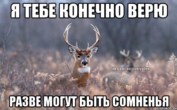 http://risovach.ru/upload/2014/02/mem/naivnyy-olen_43738038_orig_.jpeg