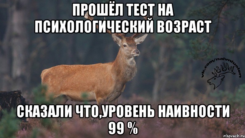 прошёл тест на психологический возраст сказали что,уровень наивности 99 %, Мем Наивный олень v3