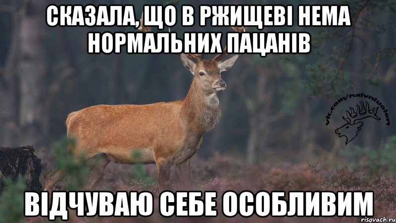 СКАЗАЛА, ЩО В РЖИЩЕВІ НЕМА НОРМАЛЬНИХ ПАЦАНІВ ВІДЧУВАЮ СЕБЕ ОСОБЛИВИМ, Мем Наивный олень v3