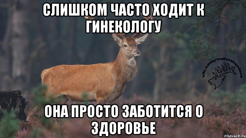 Слишком часто ходит к гинекологу Она просто заботится о здоровье, Мем Наивный олень v3