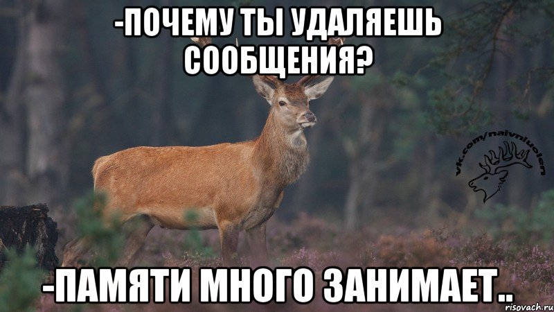 -Почему ты удаляешь сообщения? -Памяти много занимает.., Мем Наивный олень v3