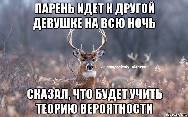 Парень идет к другой девушке на всю ночь сказал, что будет учить теорию вероятности, Мем  Наивный Олененок
