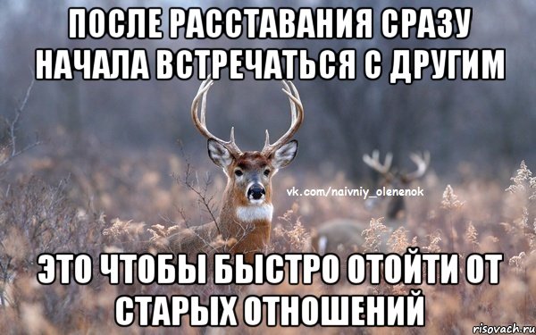 после расставания сразу начала встречаться с другим это чтобы быстро отойти от старых отношений, Мем  Наивный Олененок