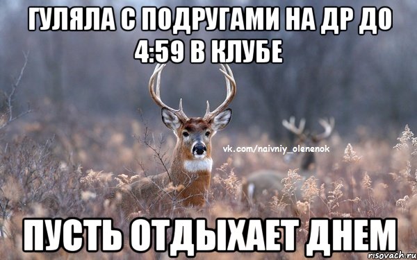 гуляла с подругами на ДР до 4:59 в клубе пусть отдыхает днем, Мем  Наивный Олененок