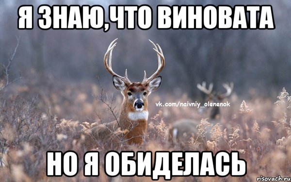 я знаю,что виновата но я обиделась, Мем  Наивный Олененок