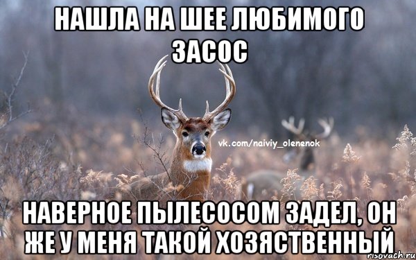 Нашла на шее любимого засос Наверное пылесосом задел, он же у меня такой хозяственный