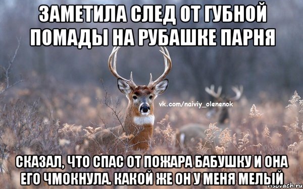 Заметила след от губной помады на рубашке парня Сказал, что спас от пожара бабушку и она его чмокнула. Какой же он у меня мелый