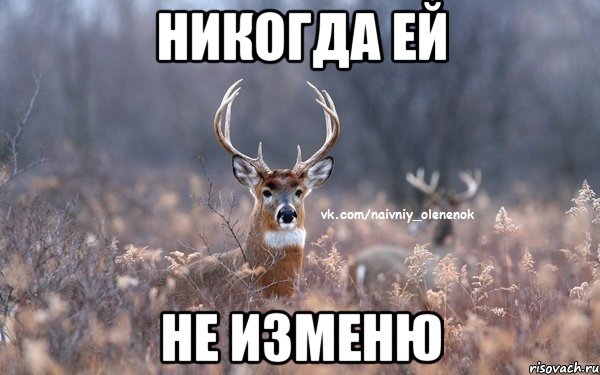Никогда ей не изменю, Мем  Наивный Олененок