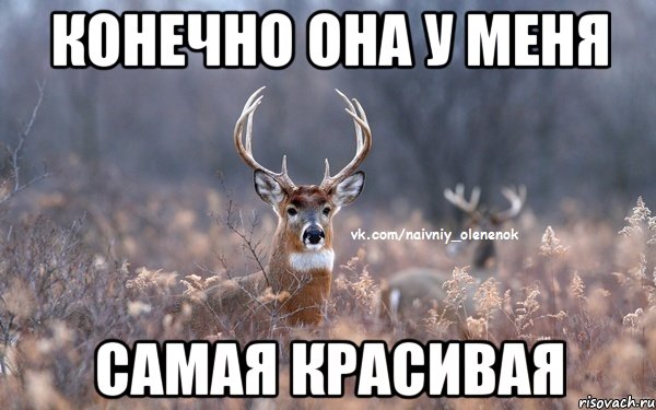 Конечно она у меня самая красивая, Мем  Наивный Олененок