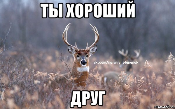 ты хороший друг, Мем  Наивный Олененок