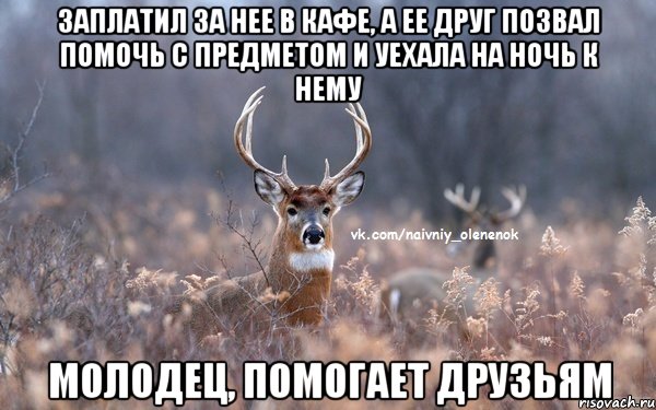 Заплатил за нее в кафе, а ее друг позвал помочь с предметом и уехала на ночь к нему Молодец, помогает друзьям, Мем  Наивный Олененок