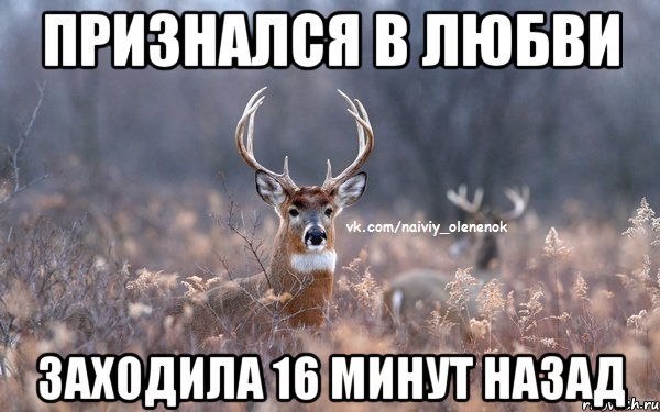 Признался в любви Заходила 16 минут назад